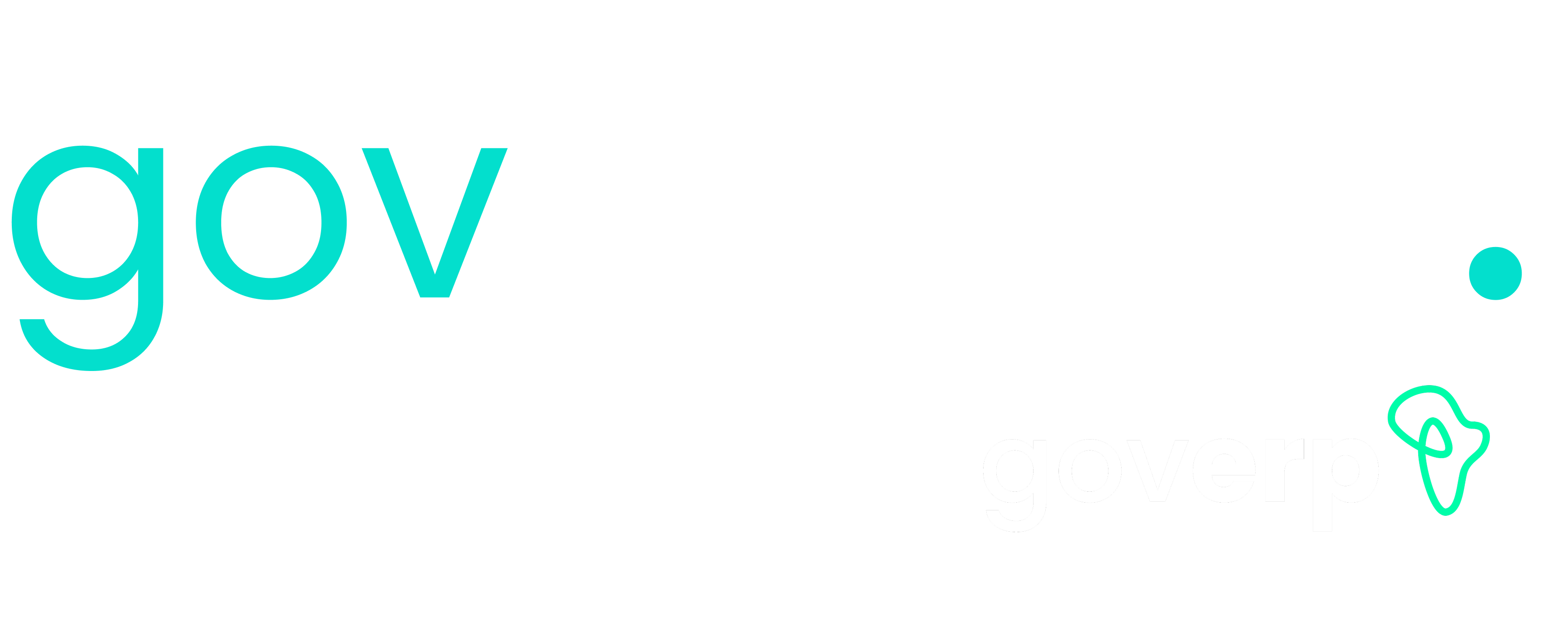 GovRecruit & GovERP Logo